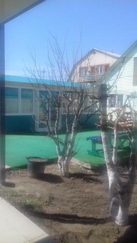 Hostal Guesthouse Pioner