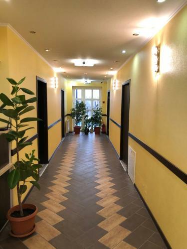 Hostal Guest Hotel Platan