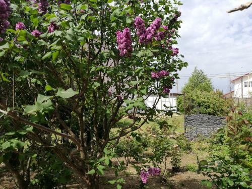 Hostal Guest House On Lenina Ulitsa