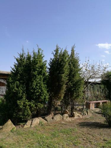 Hostal Guest House On Lenina Ulitsa