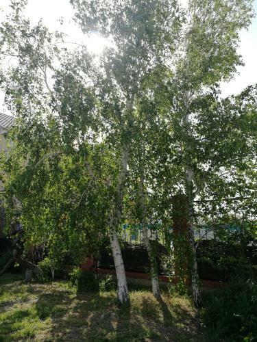 Hostal Guest House On Lenina Ulitsa