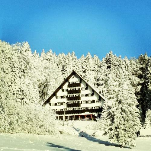 Hotel Tisa Pohorje