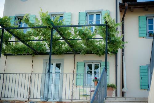 Bed & Breakfast Klinec Ple?ivo