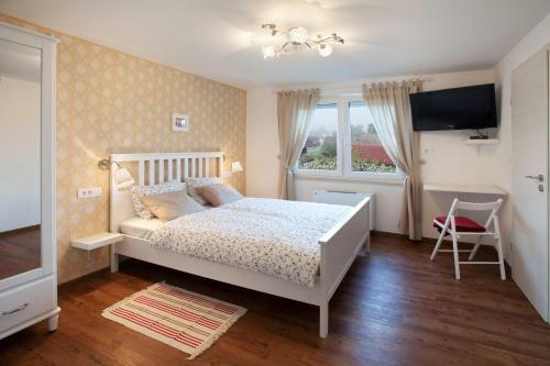 Hostal Gostilna Samarin