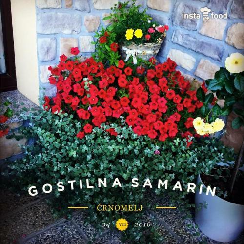 Hostal Gostilna Samarin