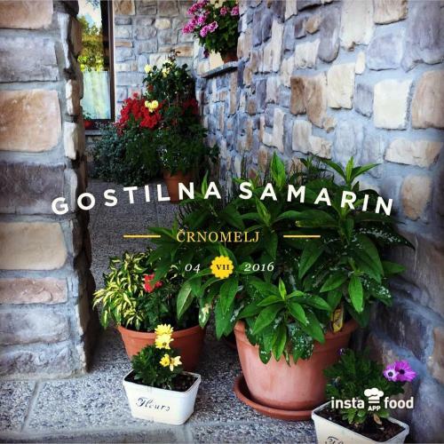 Hostal Gostilna Samarin