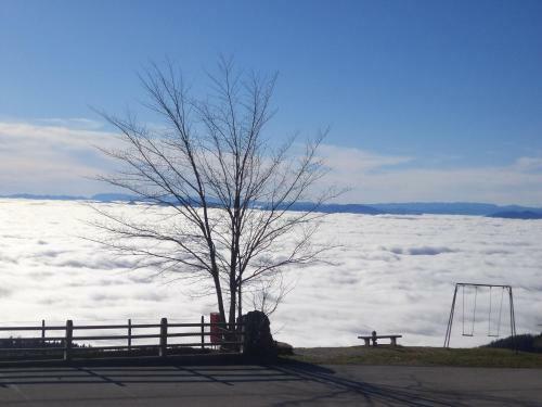 Hostal Guest House Pr Ambru?arju