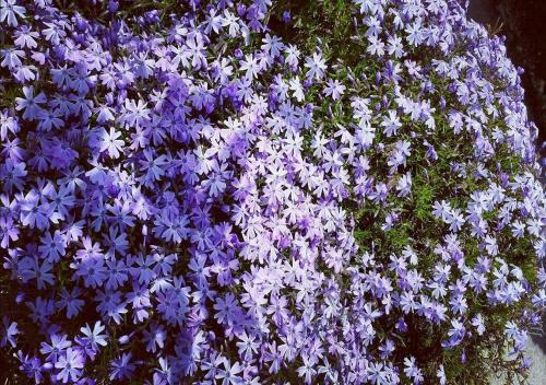 Hostal Guest House Pr Ambru?arju