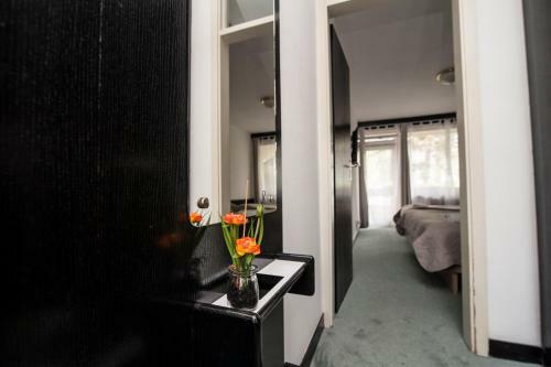 Hotel Faraon