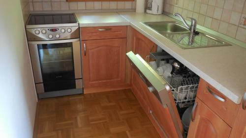Apartment Savinja