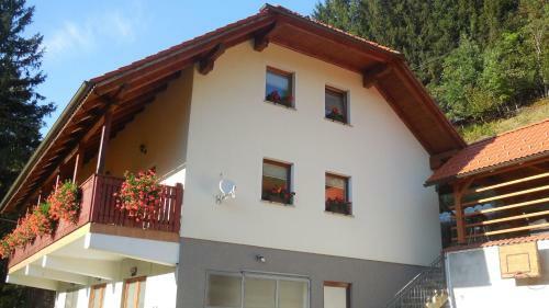 Apartment Savinja