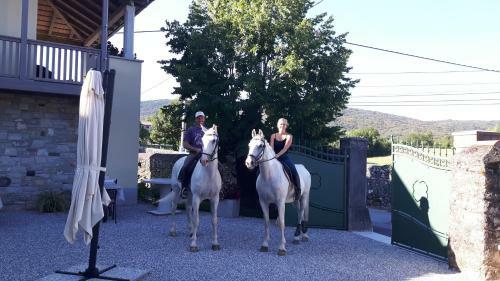 Hostal Casa Krasna Guest House