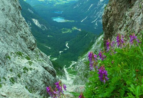 Hostal Guest House Hermanov Hram