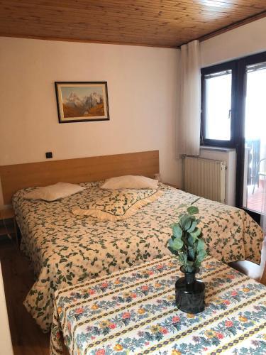 Hostal Encijan Apartments