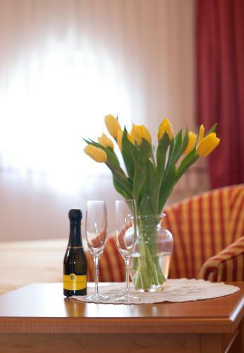Hostal Guesthouse Tulipan
