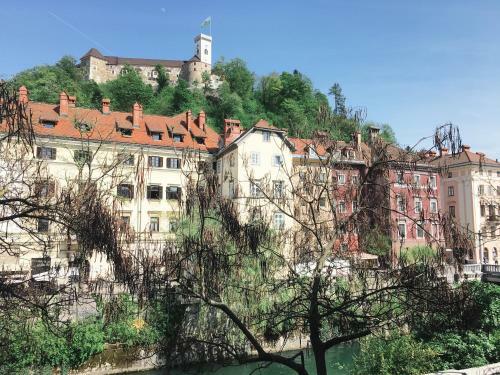 River And Castle View Apartment Rose