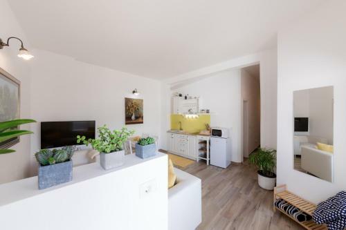 Sunny Apartment