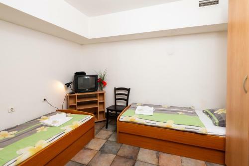 Hostel Momo