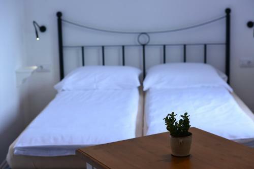 Hostel Hildegarden