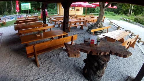 Kamp Alpe Kamni?ka Bistrica