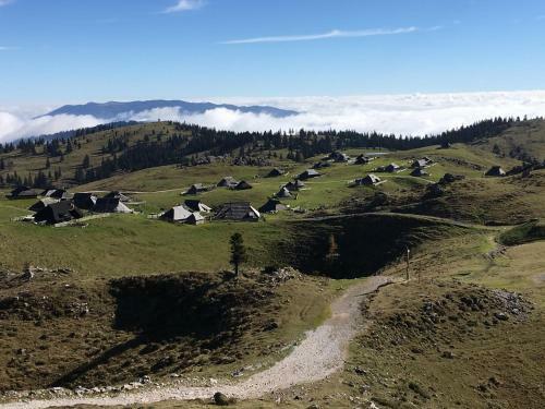 Kamp Alpe Kamni?ka Bistrica