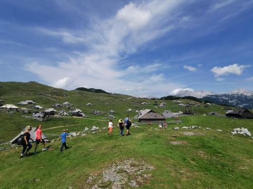 Kamp Alpe Kamni?ka Bistrica