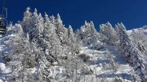 Chalet Resa - Velika Planina