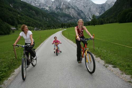Hotel Plesnik Logarska Dolina