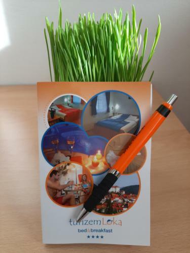 Turizem Loka Bed And Breakfast