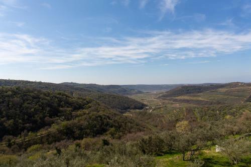 Hostal Residence Gold Istra