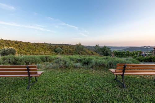 Hostal Residence Gold Istra