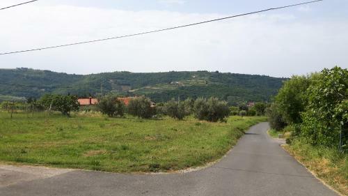 Sea View Apartment Renzzo