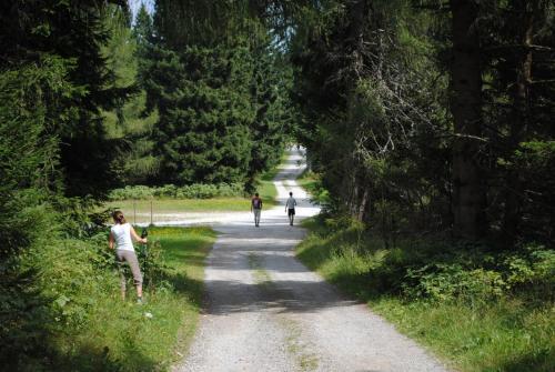 Albergue Preno?i??a Cerkno