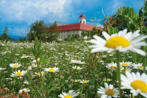 Hotel Stift St. Georgen Am L�ngsee