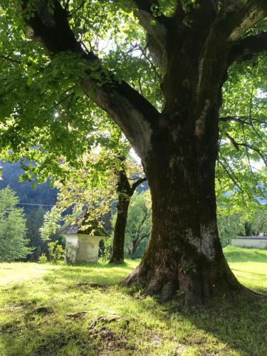 Apartamento Pension "das Tr�gern"