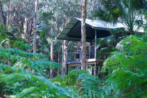Lodge Treehouse Retreat At Diamond Waters