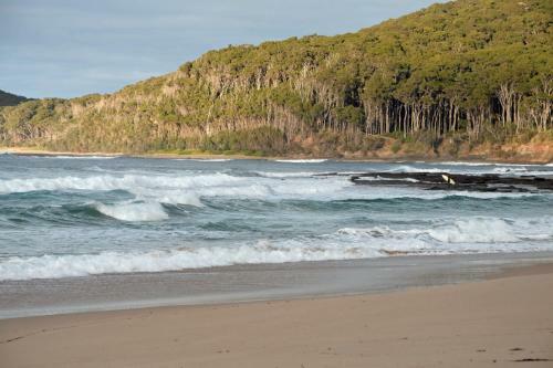 Pebbly Beach Shacks