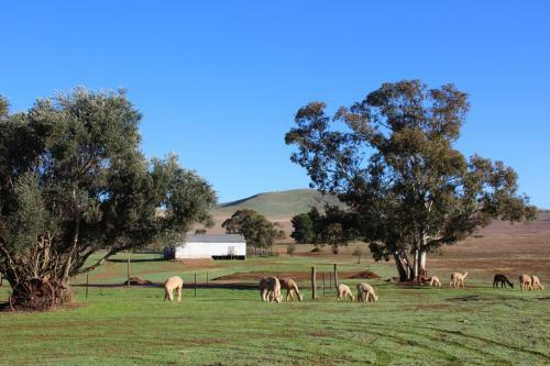Agroturismo Ossies Homestead Farmstay