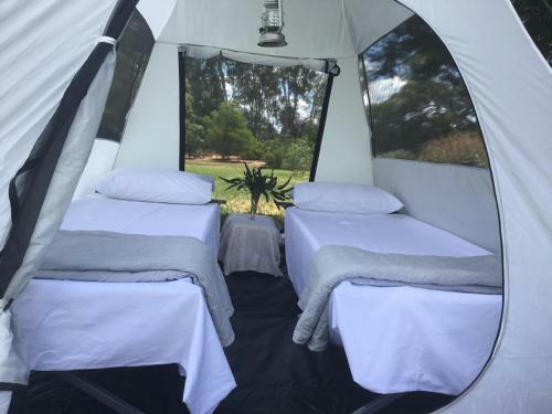 Agroturismo Burraburoon