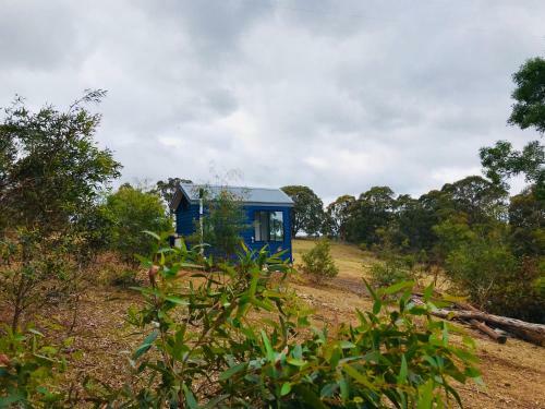 Agroturismo Walden Tiny House
