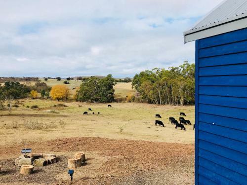 Agroturismo Walden Tiny House