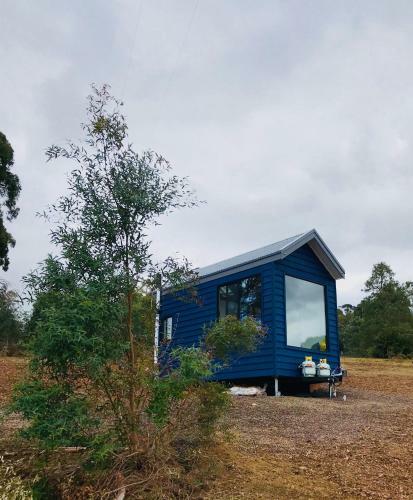 Agroturismo Walden Tiny House