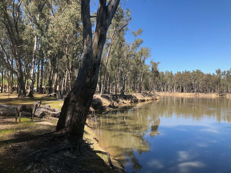 Barmah Bridge Caravan Park