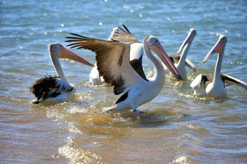 Alva Beach Tourist Park