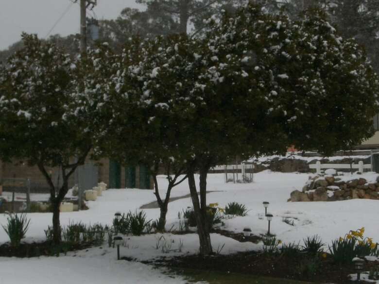 Rainbow Pines Tourist Caravan Park