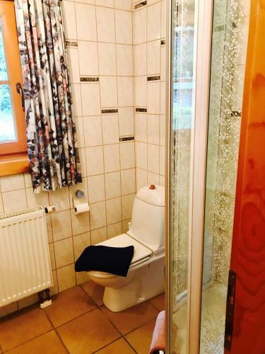 Apartamento Ferienwohnungen Pfl�glhof
