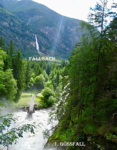 Apartamento Ferienwohnungen Pfl�glhof