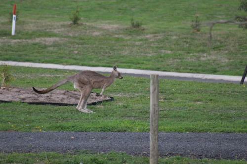 Nyora Lodge B&B
