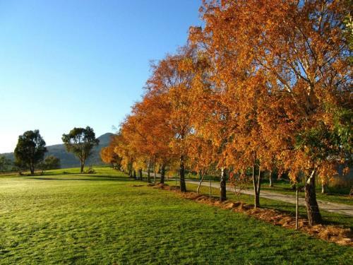 Plovers Ridge Country Retreat