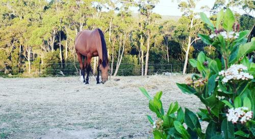 Agroturismo Lockleigh Park